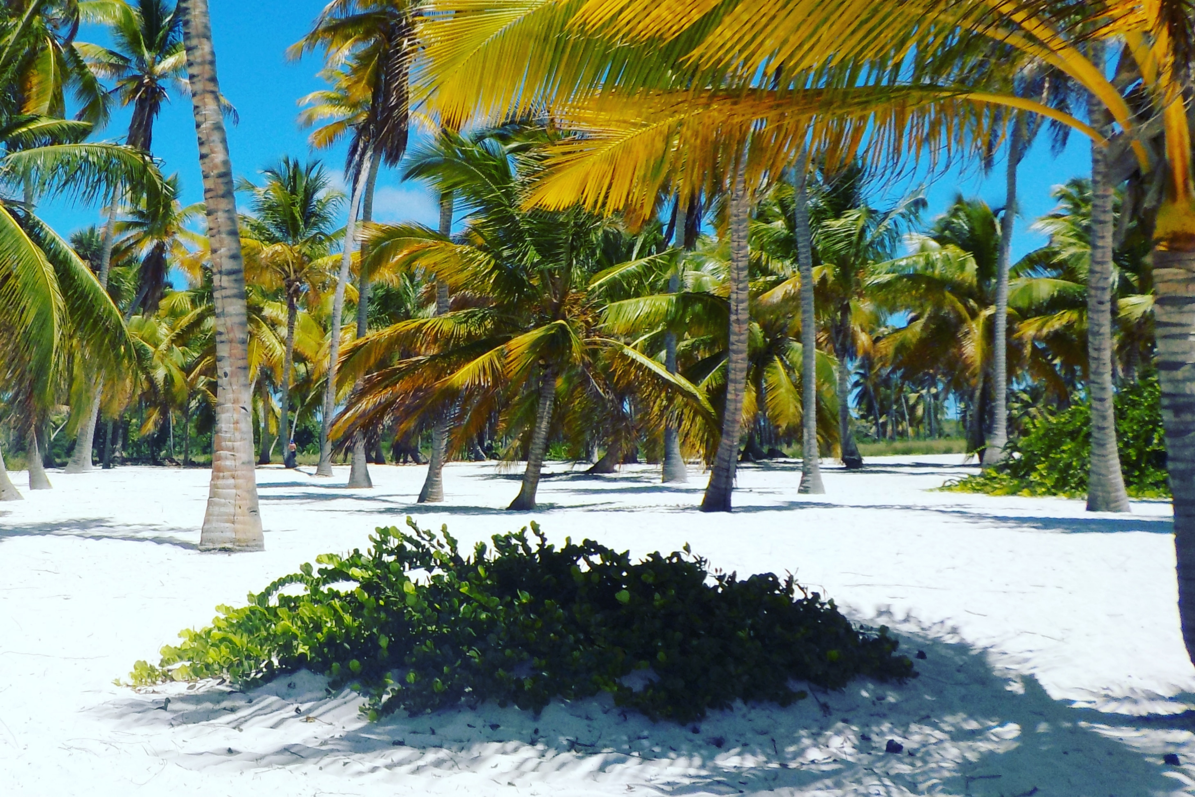 bounty islands (2).webp